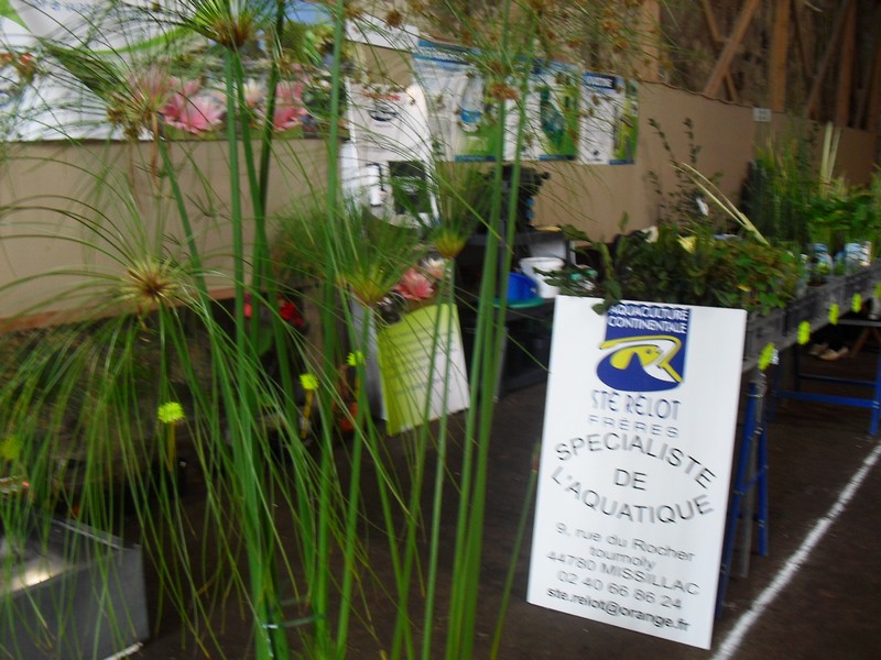 vente de plantes aquatiques à la sté Rélot